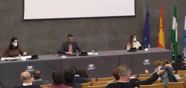 Pleno de La L&iacute;nea