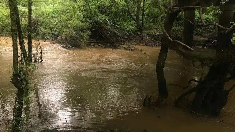 Un arroyo de Los Barrios cargado de agua