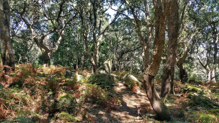 Monte de Comares