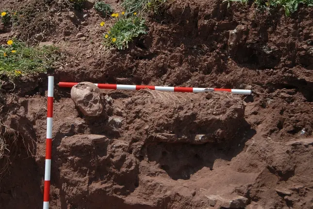 Imagen del hallazgo arqueol&oacute;gico del pasado fin de semana