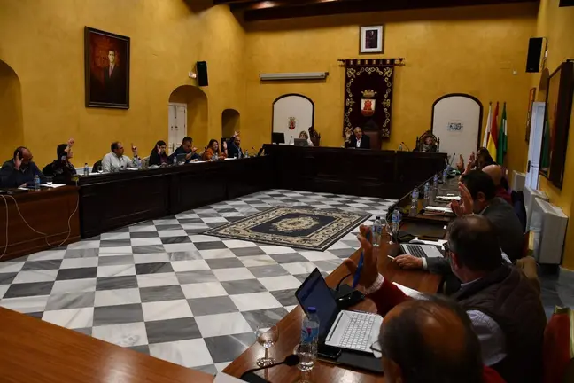 Pleno ordinario abril