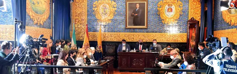 PLENO ORDINARIO