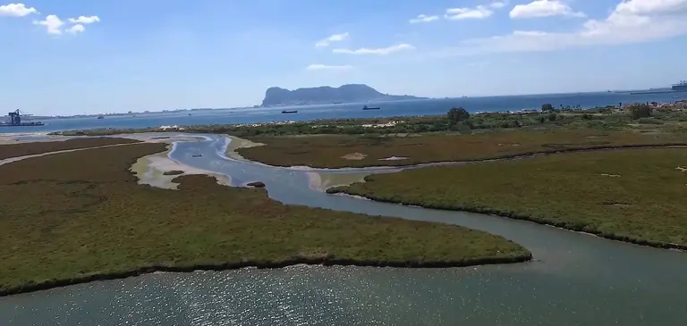 Marismas de Palmones
