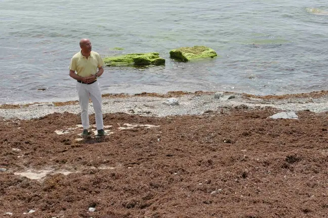 &Aacute;ngel Mart&iacute;nez en la playa de Getares