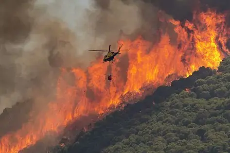 incendio forestal
