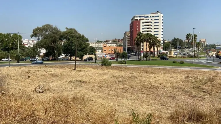 Parcela desbrozada en el Varadero
