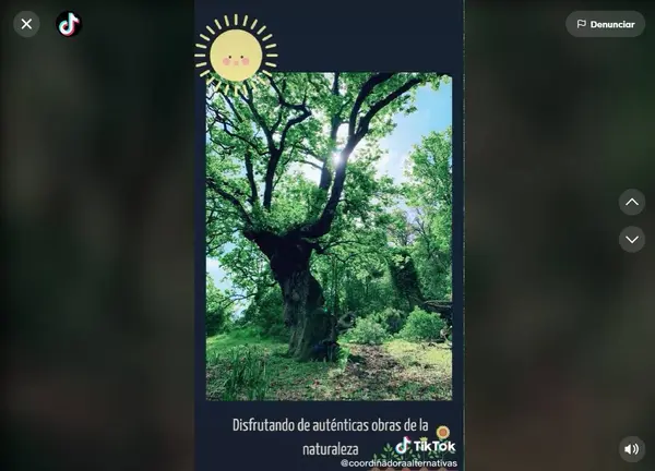 Alternativas Sostenibles