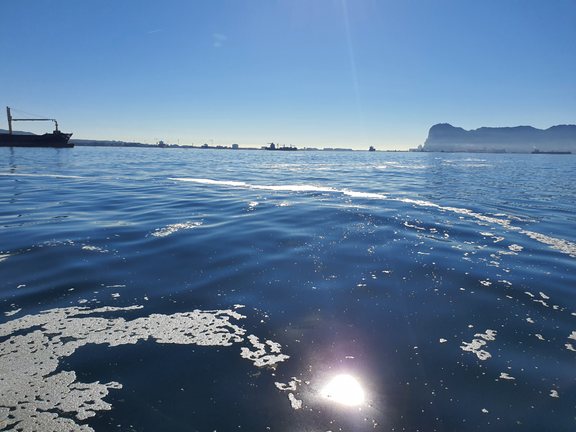 El vertido de holl&iacute;n en la bah&iacute;a