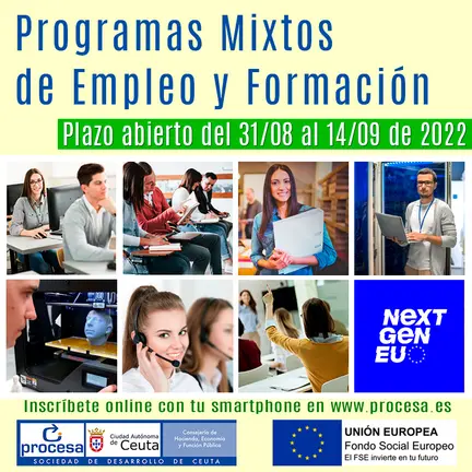 cartel (4)