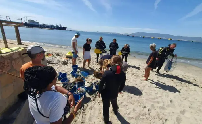 Ecologistas recogen basura en la Bahia