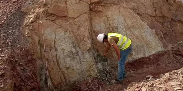 Restos fosiles de hace m&aacute;s de 200 millones de a&ntilde;os en Algeciras