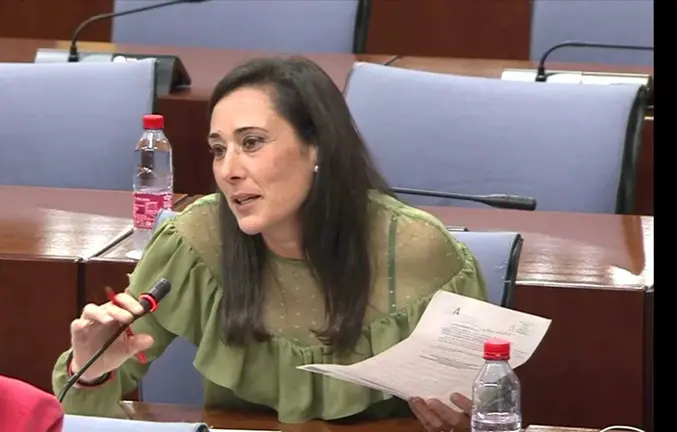 Arrabal en la Comisi&oacute;n de Cultura