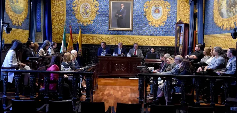 Pleno extraordinario