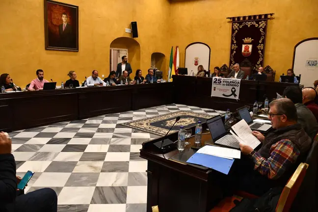 Pleno de noviembre