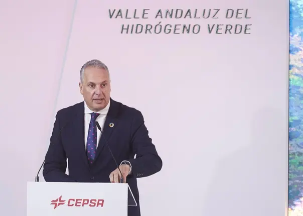 Ruiz Boix, durante su comparecencia