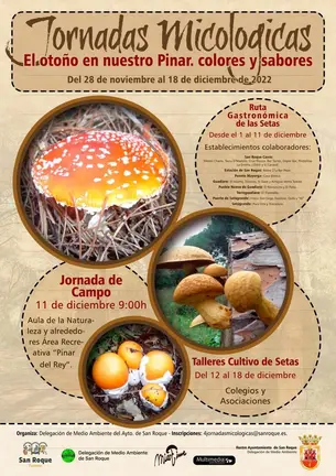 Cartel jornadas micologicas