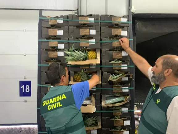 La coca&iacute;na iba oculta en una mercanc&iacute;a legal de pi&ntilde;as