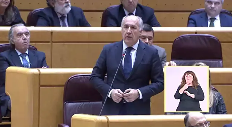 Landaluce, en una comparecencia en el Senado