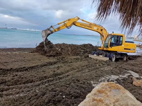 Retirada de algas llegadas al litoral de La L&iacute;nea por el temporal de levante. - AYUNTAMIENTO DE LA L&Iacute;NEA