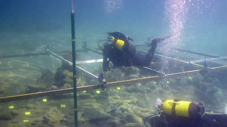 Arqueologia subacu&aacute;tica