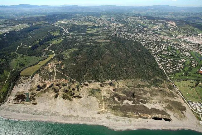 Dunas del Guadalquit&oacute;n