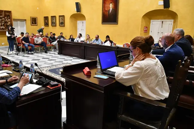 Pleno del Ayuntamiento