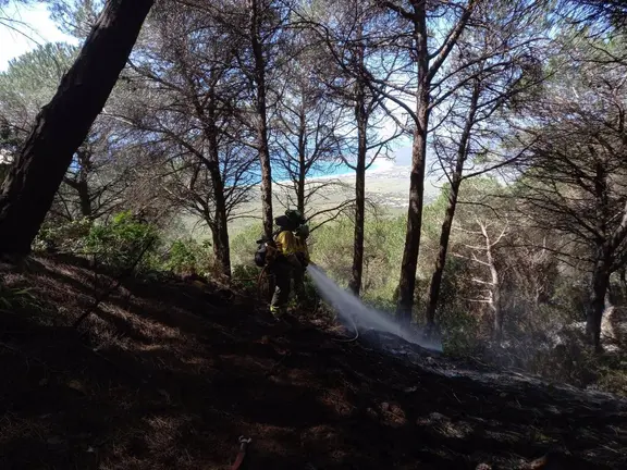 Bomberos del INFOCA en el incendio de Tarifa