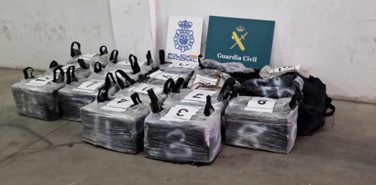 fardos coca&iacute;na