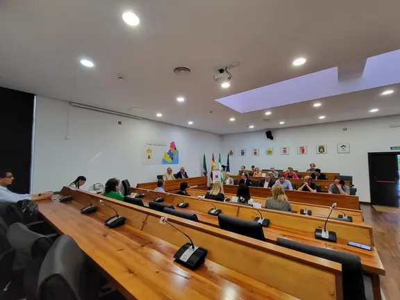 Consejo Econ&oacute;mico y Social