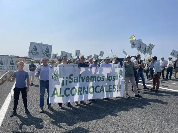 Asaja corta la A 381