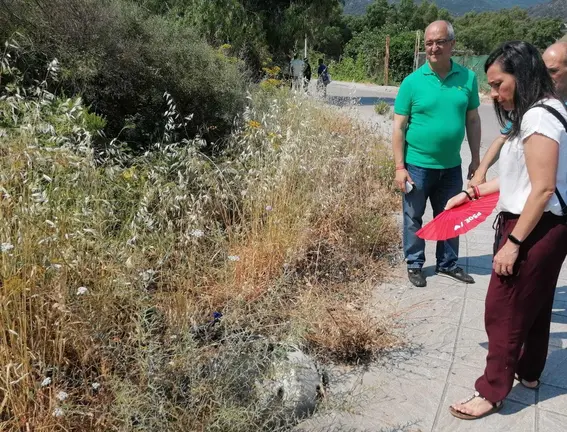 Arrabal en visita Ca&ntilde;ada Tomates