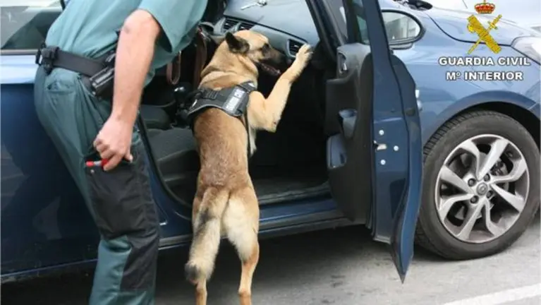Un agente de la Guardia Civil y su compa&ntilde;ero canino, buscando estupefacientes en un veh&iacute;culo