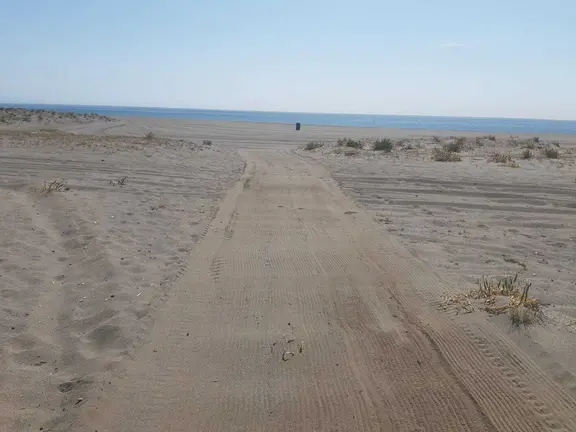 Ubicaci&oacute;n de una de las playas caninas de La L&iacute;nea
