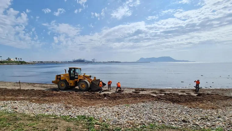 Retirada de alga invasora en El Chinarral
