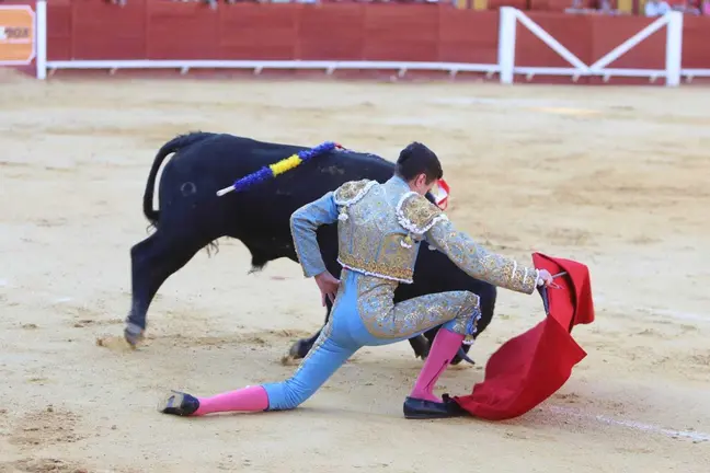 Novillada en Las Palomas