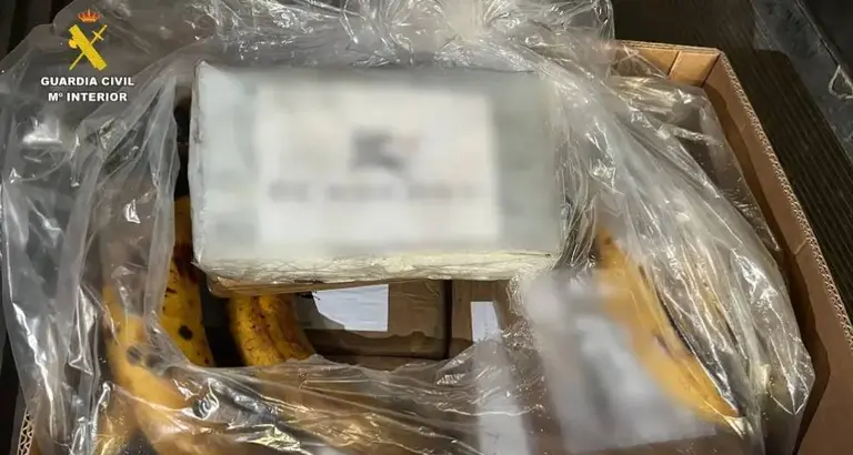Cocaina localizada entre bananas