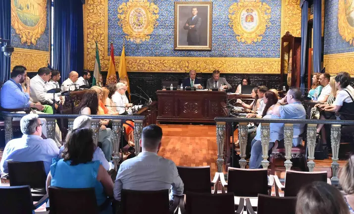 Pleno extraordinario