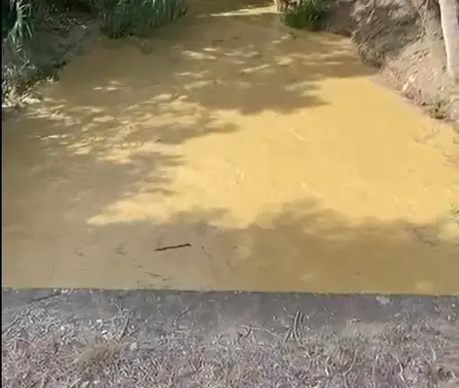 Fuga en Charco Redondo