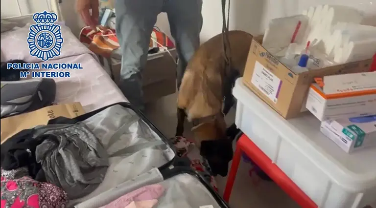 Operaci&oacute;n policial contra la red