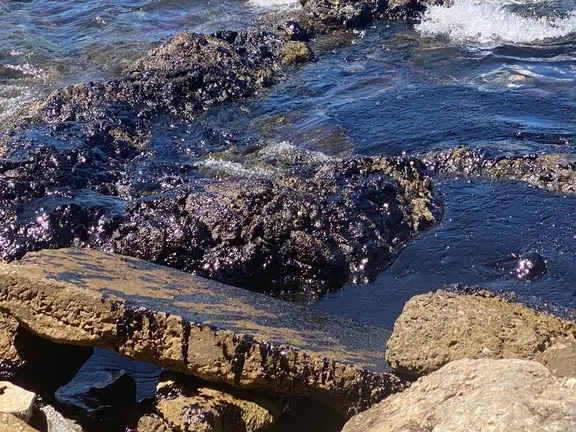Restos del vertido en la costa de Gibraltar. Foto Gibraltar Chronicle