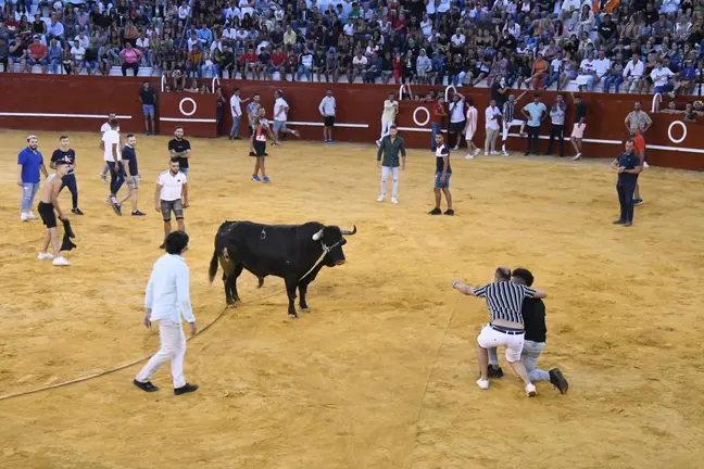 Toro del Aguardiente 2022