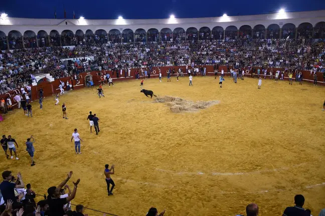 Toro del Aguardiente 2023