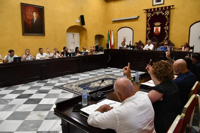 Votaci&oacute;n en el Pleno