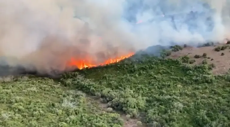 Incendio en Las Pantallas