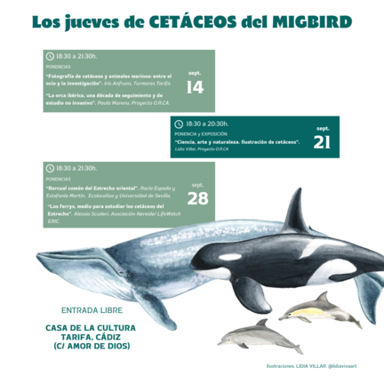 CARTEL cet&aacute;ceos MIGBIRD IG