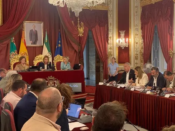 Ruiz Boix en el Pleno de Diputaci&oacute;n. - PSOE