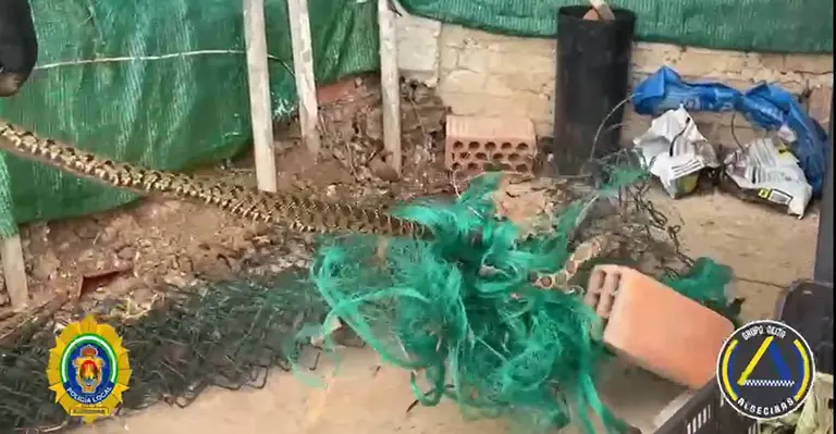 Rescate de la serpiente