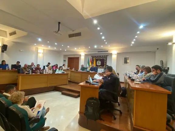Pleno de Los Barrios