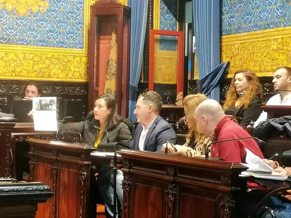 El Grupo Socialista, en el pleno del 28 de diciembre