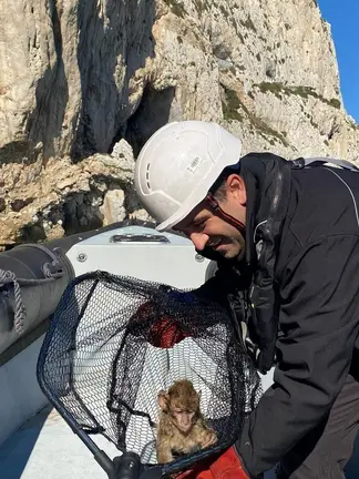 Rescate macaco